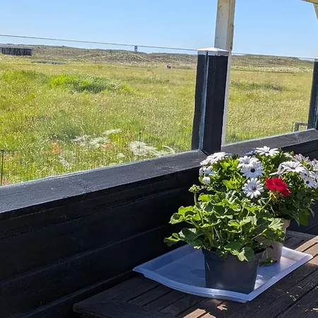 Carelle - 300m From The Sea By Interhome * Torsted